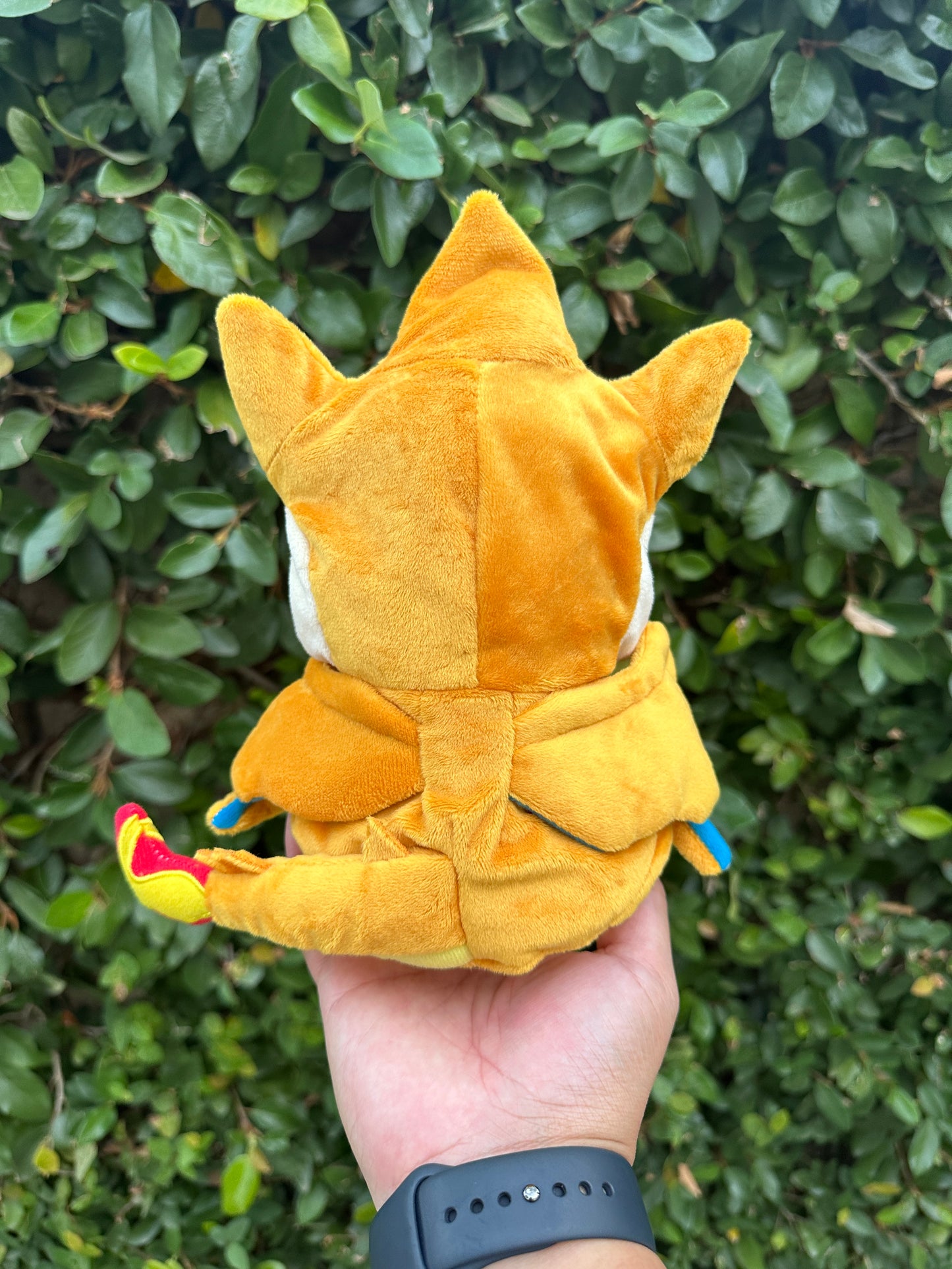 Poncho Pikachu Charizard Plush - 8 inch